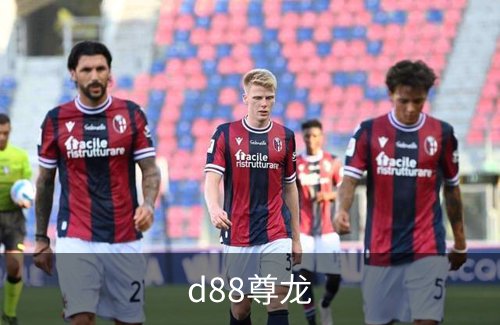 关于d88尊龙
